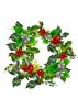 [1215356_holly_wreath_with_mixed_berries.jpg]