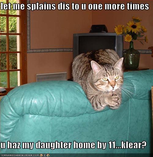[funny-pictures-protective-father-cat.jpg]