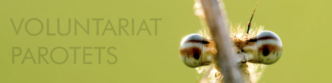 voluntariat parotets