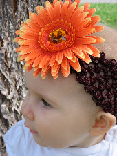 Orange Daisy