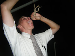 Eating a Lizard?