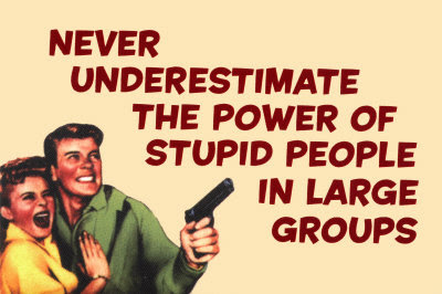 stupid.jpg