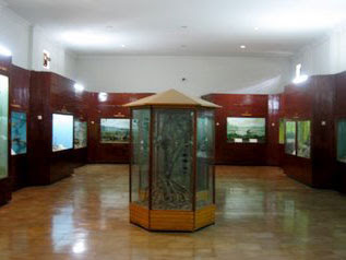 Bagian Dalam Museum Zeologi