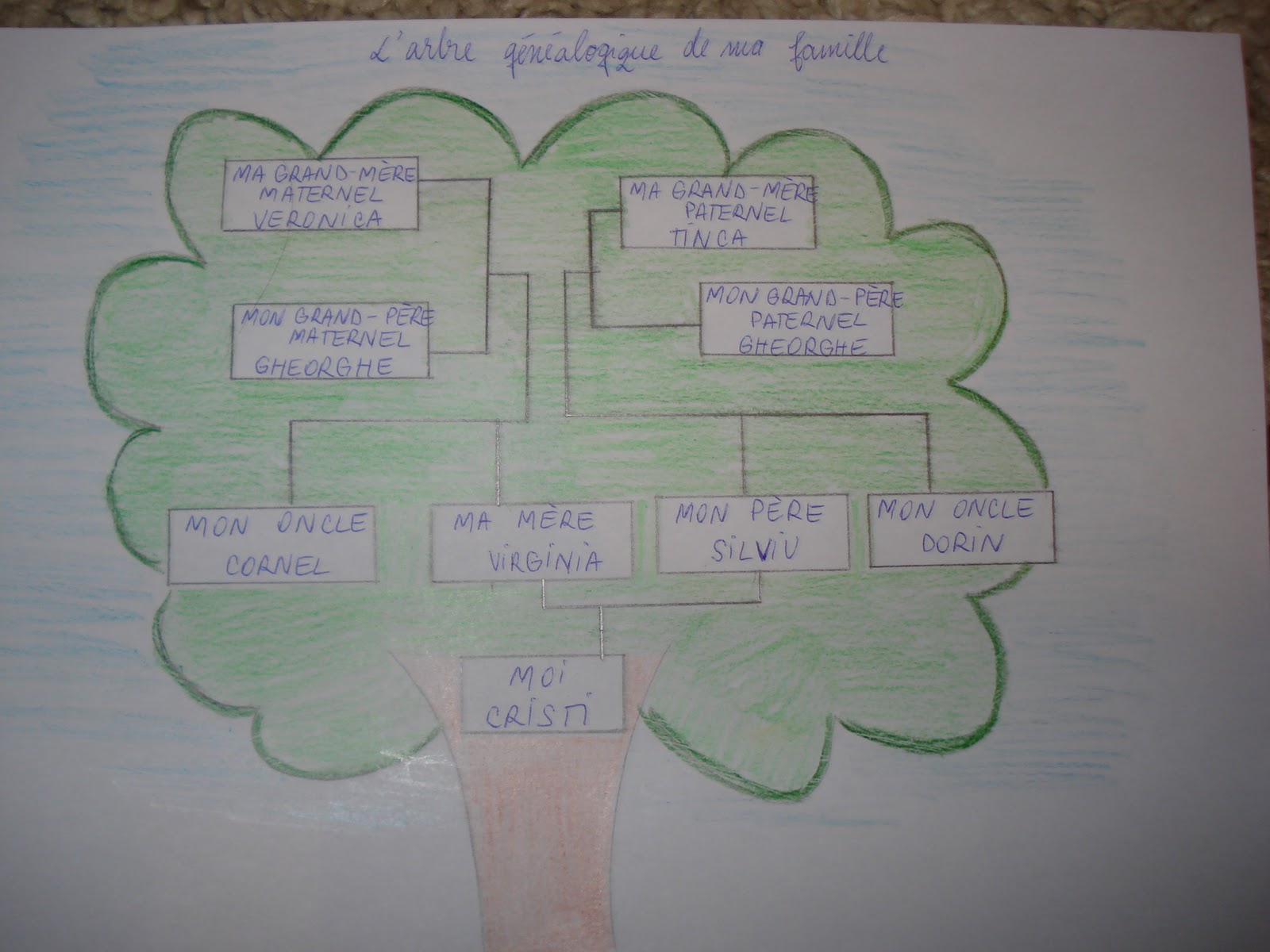 Arbre Généalogique Simple Avec Frere Et Soeur Gherghina Cristian: Unité 1 --> L’ arbre généalogique de ma famille