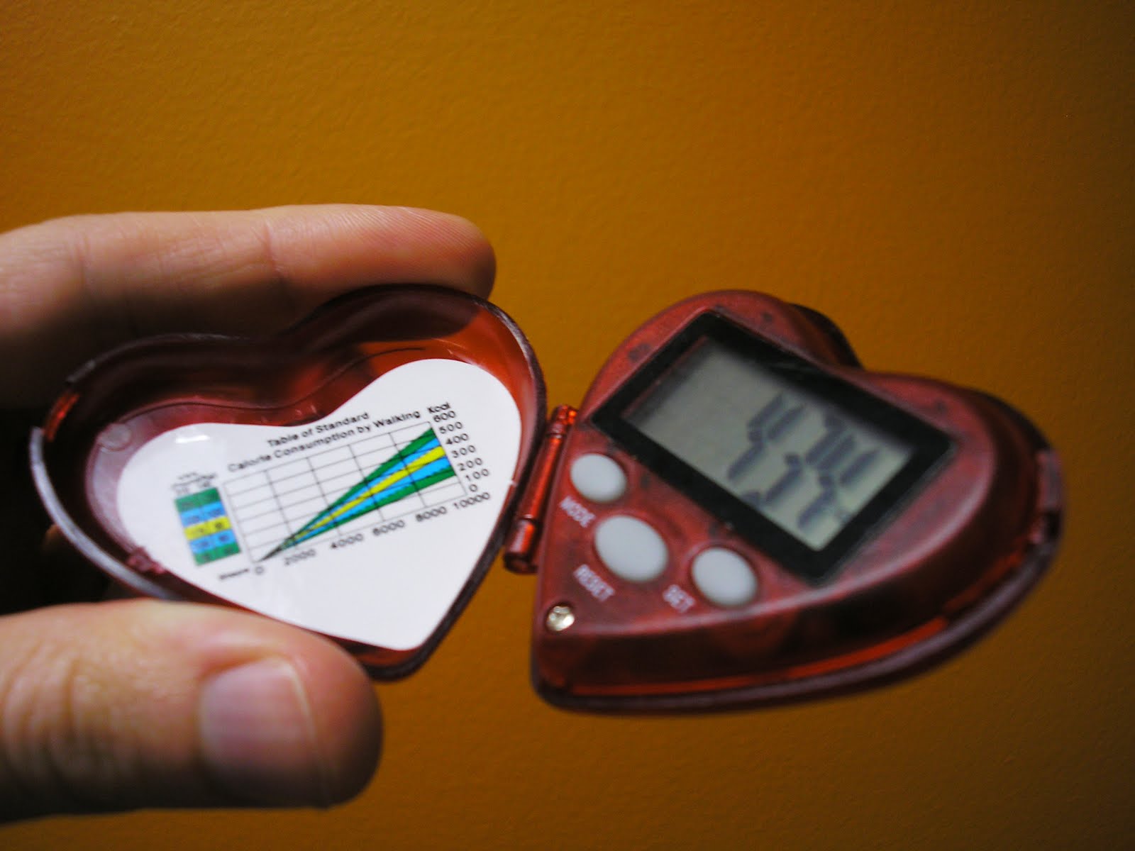 [pedometer_1.jpg]