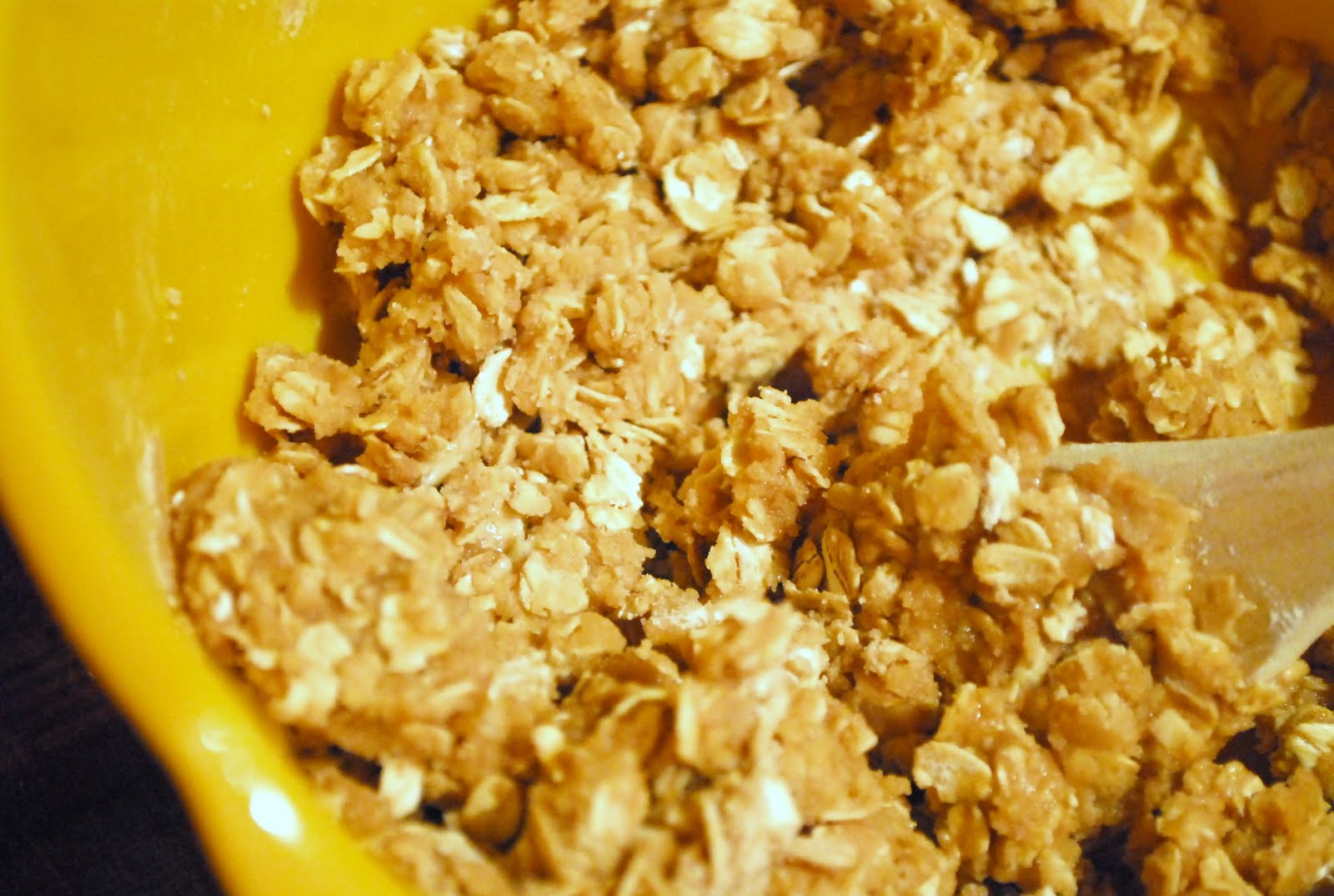 [appleoatmeal+003.JPG]