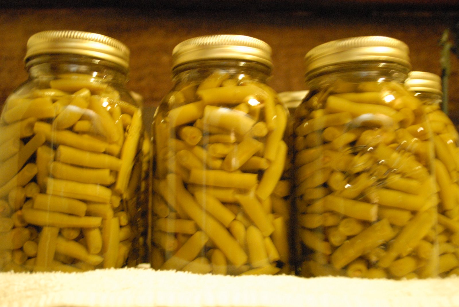 [Gerald+and+canning+175.JPG]