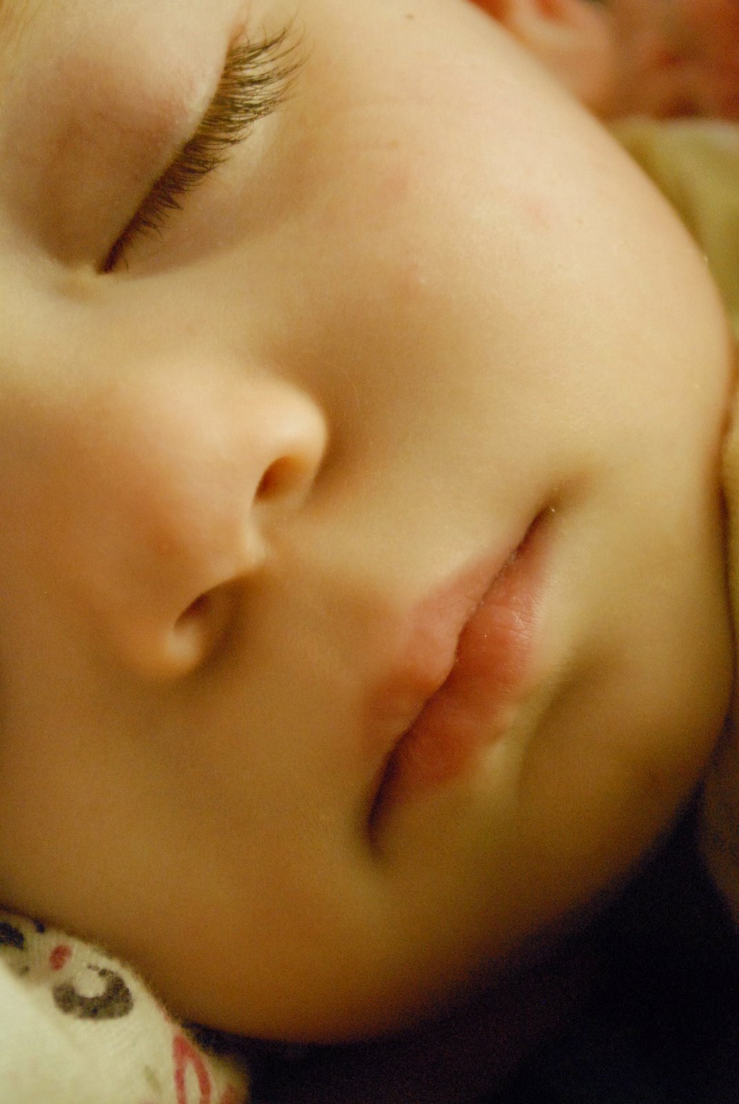 [sleepybabiesandPork+011.JPG]