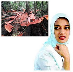 Kontemplasi Pemberantasan Illegal Logging, Marissa Haque