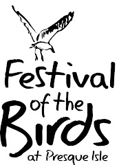 2nd Annual Festival of the Birds at Presque Isle