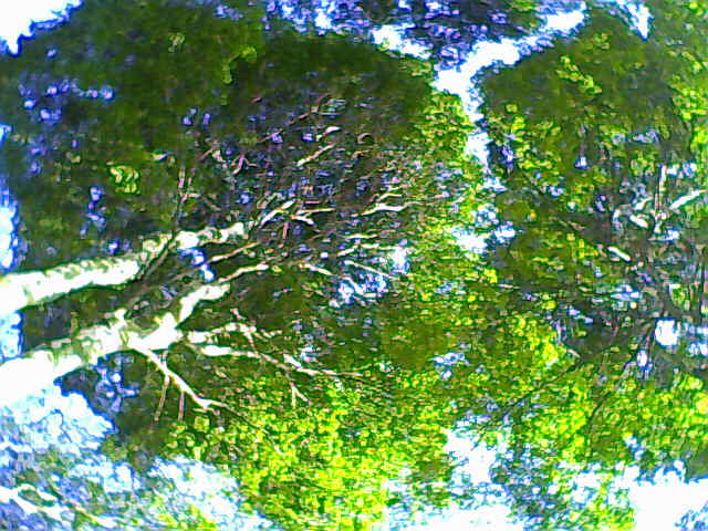 [03-08-09_160304.jpg]