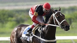 Campeón del Caribe 2010