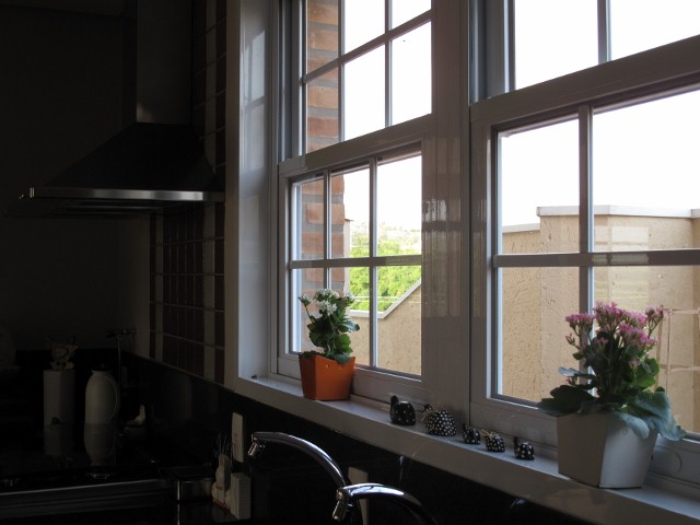 [IMG_3801+(640x480).jpg]