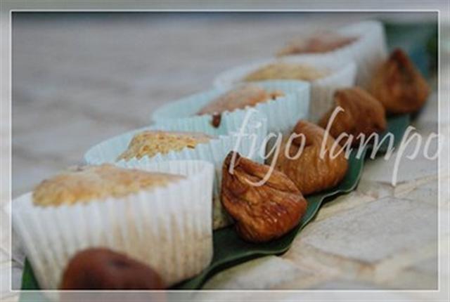 [figo+1+copyMargarida+(Small).jpg]