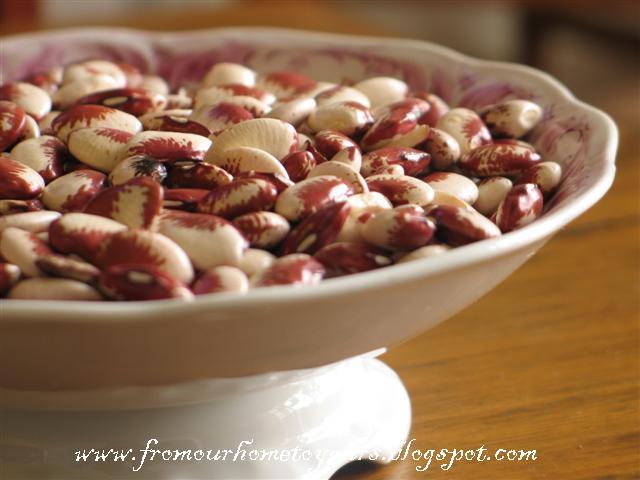 [FavaVerm+023+(Small).jpg]