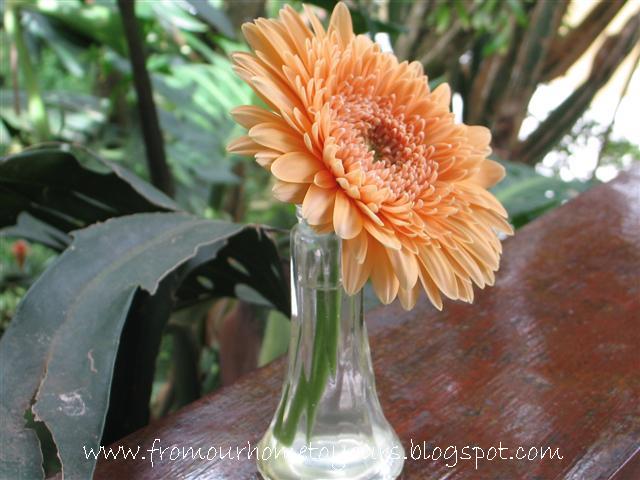 [Feb09Div+037+(Small).jpg]