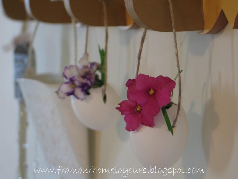 [IMG_3683+(800x600).jpg]