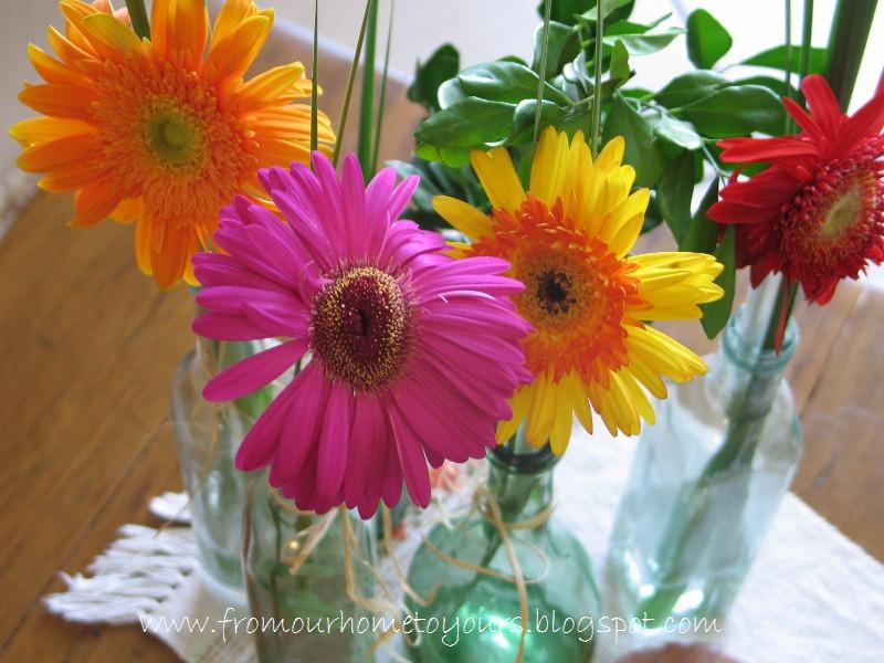 [IMG_5133+(800x600).jpg]