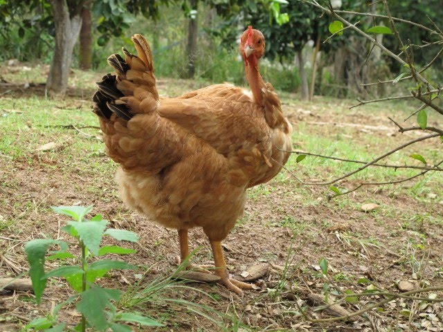 [IMG_2289+(640x480).jpg]