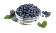 [blueberries.png]