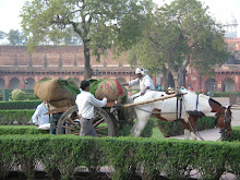 Gardening at the Red Fort