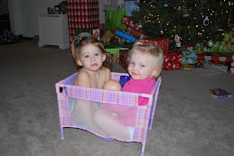 Alivia and Finley in Alivia's new baby pack-in-play (for her baby dolls)