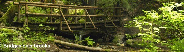 Bridges over brooks