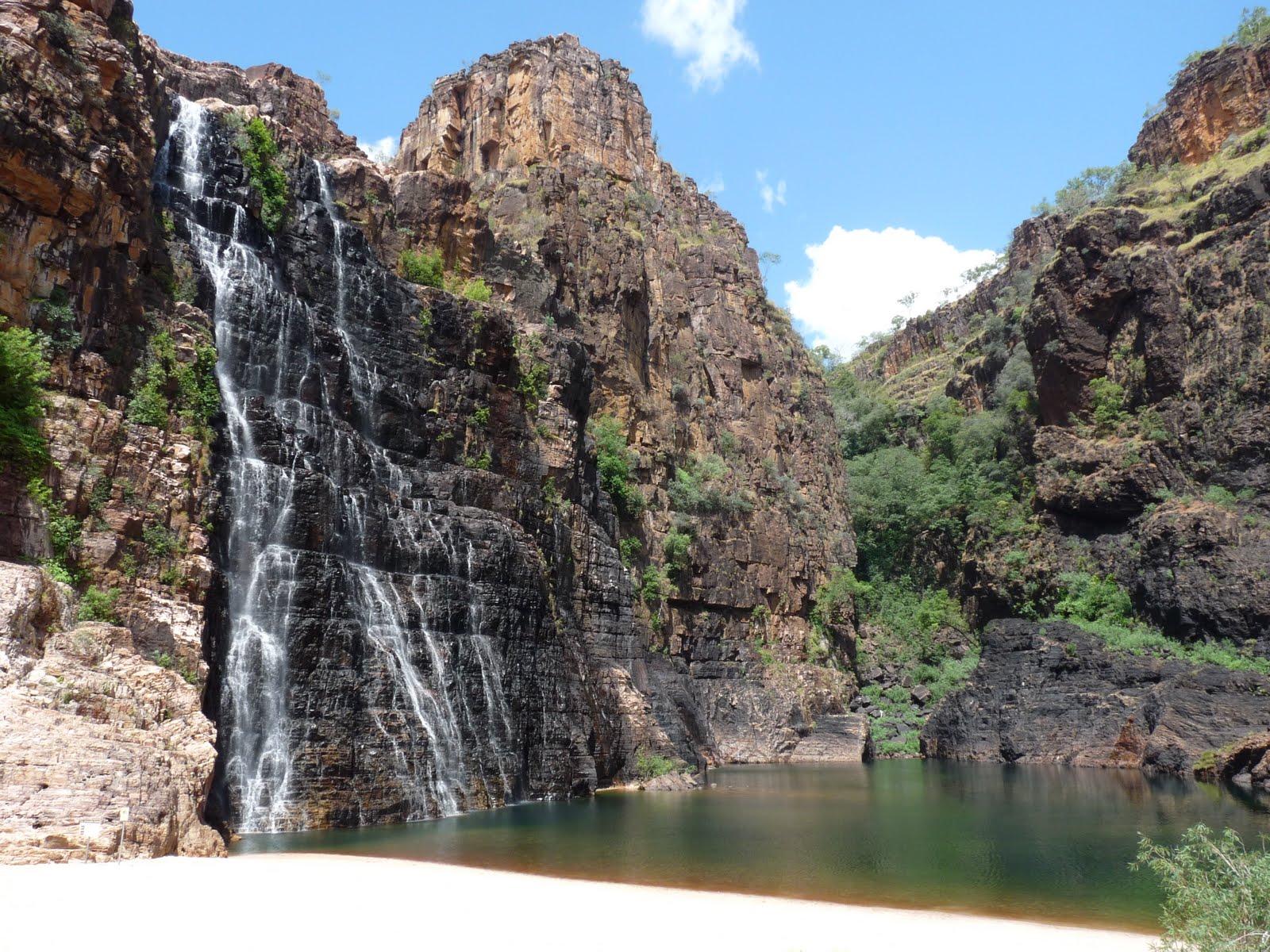парк какаду в австралии. национальный заповедник какаду, австралия. нац парк какаду в австралии. парк какаду в австралии. национальный парк какаду в австралии фото.