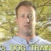 Dog Abuse at J.R.'s Dog Training
