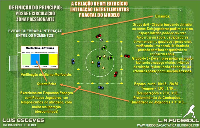 ORGANIZAÇÃO DE JOGO --- Luis Esteves: A ESPECIFICIDADE DO EXERCÍCIO
