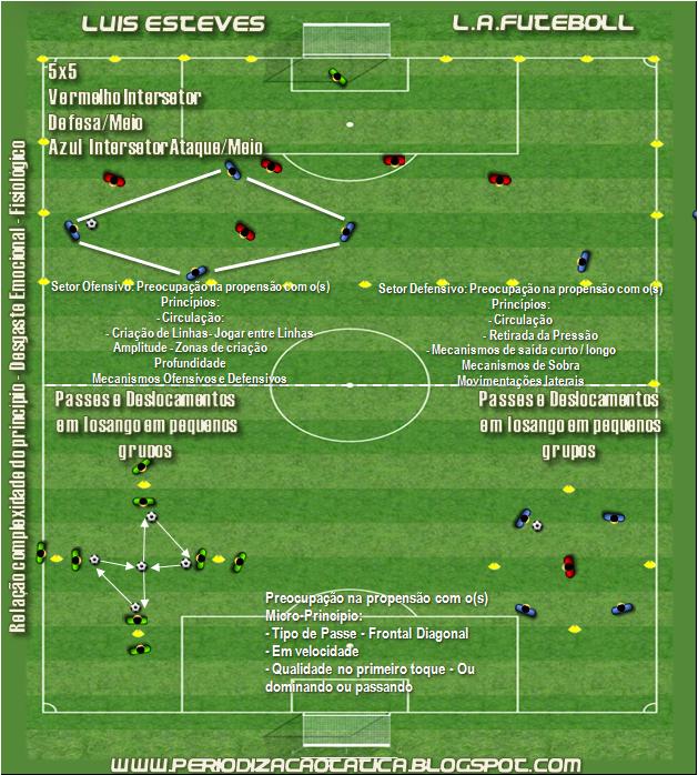 ORGANIZAÇÃO DE JOGO --- Luis Esteves: A ESPECIFICIDADE DO EXERCÍCIO