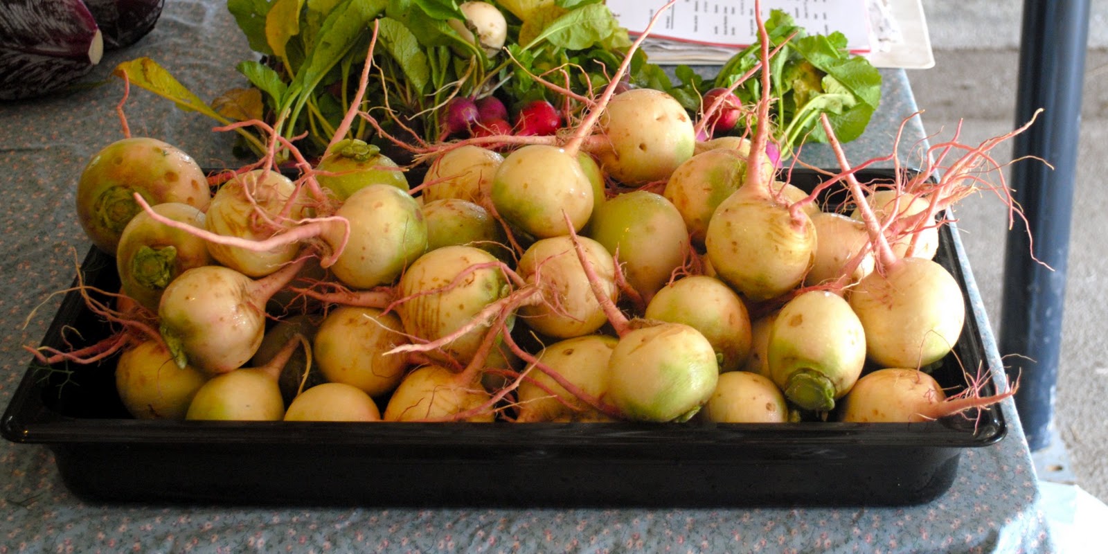 The CSA Kitchen Turnips?? Rutabagas?? Swedes??