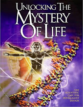 Unlocking The Mysteries Of Life