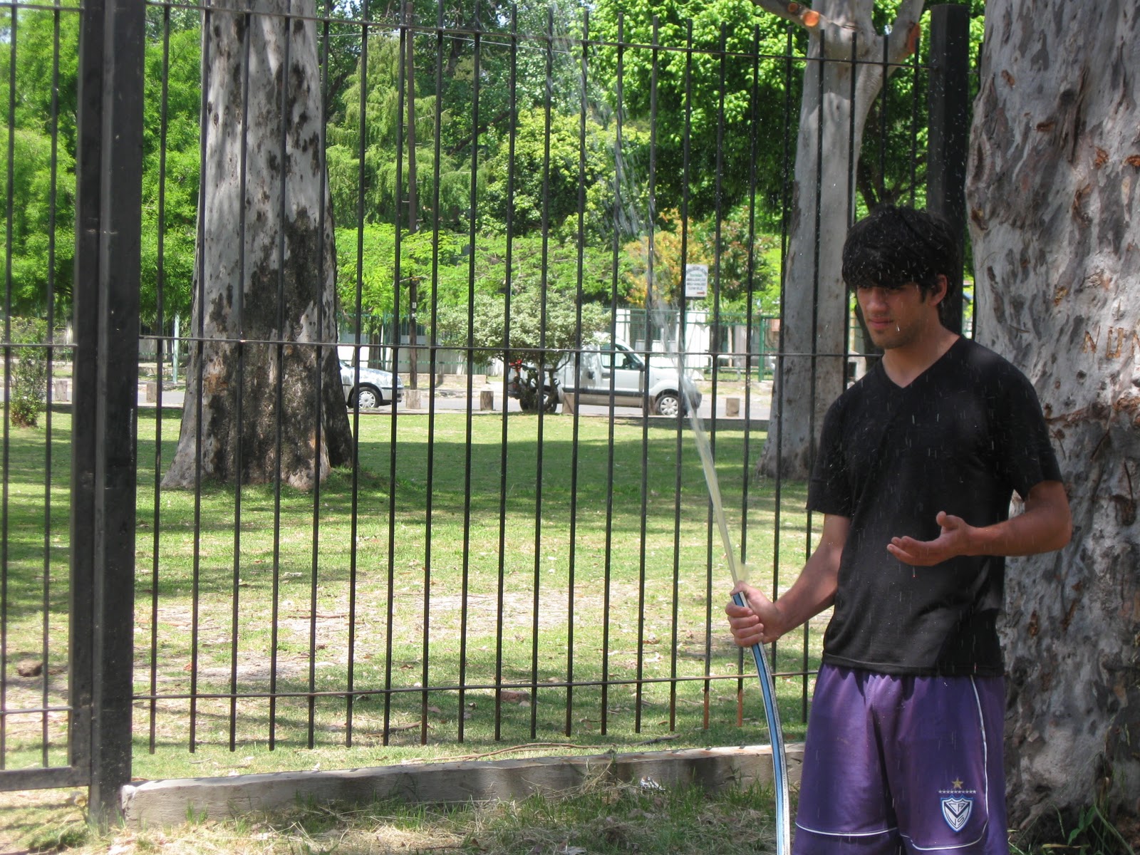 Jardines EEMN2: Practico Césped