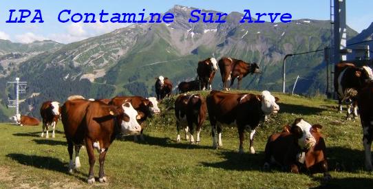 LPA Contamine-sur-Arve