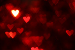 bokeh hearts blurry heart dummies lens stuff