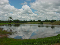 Água no barreiro V