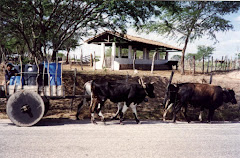 Transporte de água em carro de boi