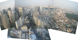 Tokyo by day from our hotel room