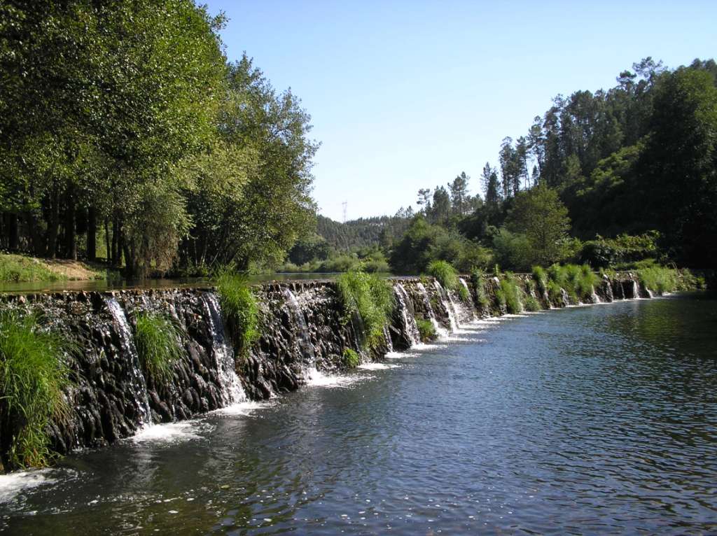 [CÃ³pia+de+P8310098.JPG]