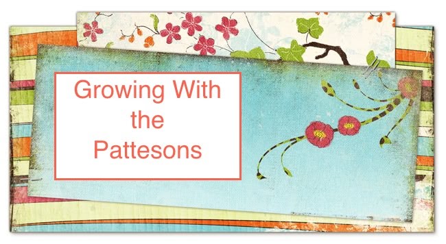 Growing With the Pattesons