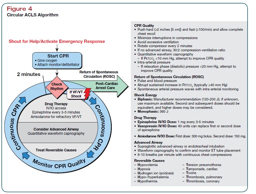ANAESTHESIA TODAY: AHA CPR GUIDELINES 2010