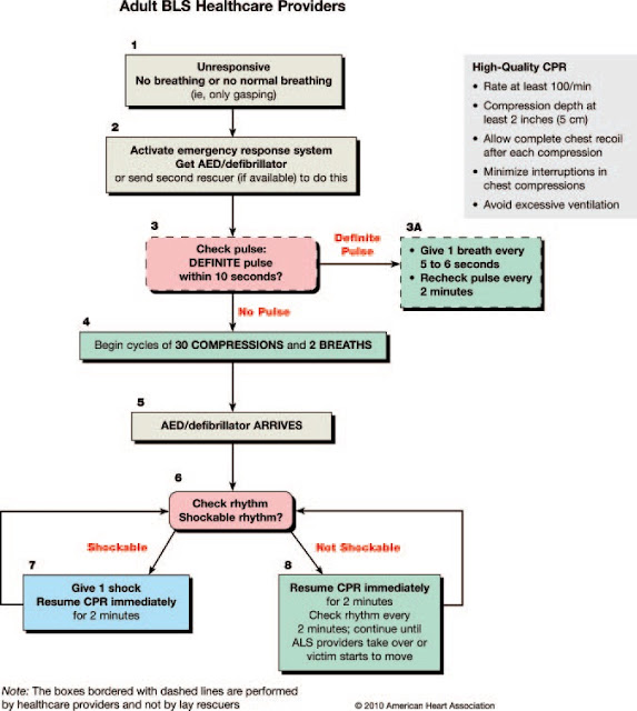 ANAESTHESIA TODAY: AHA CPR GUIDELINES 2010