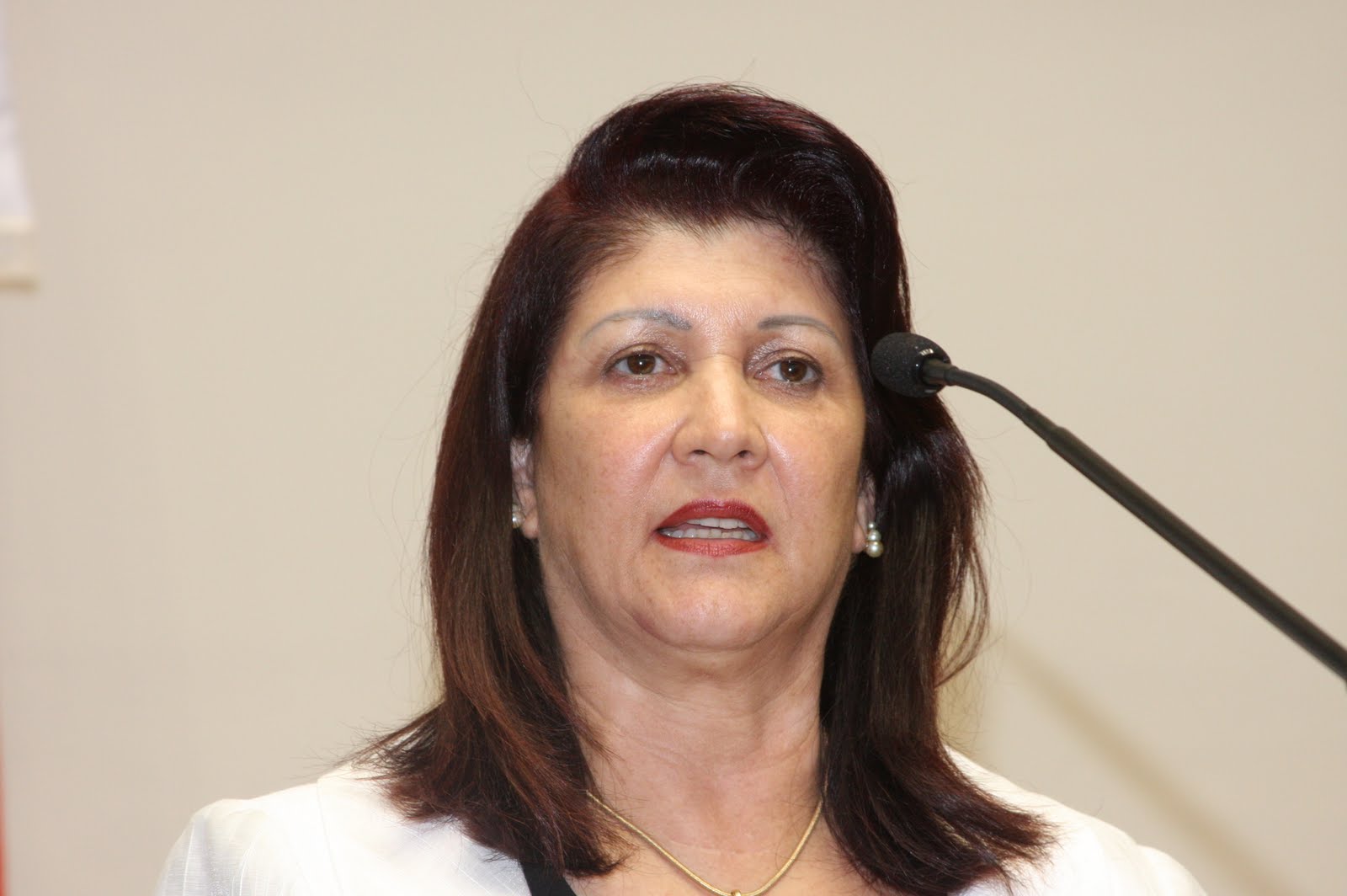 [120210_Plenario_EGO0364.JPG]