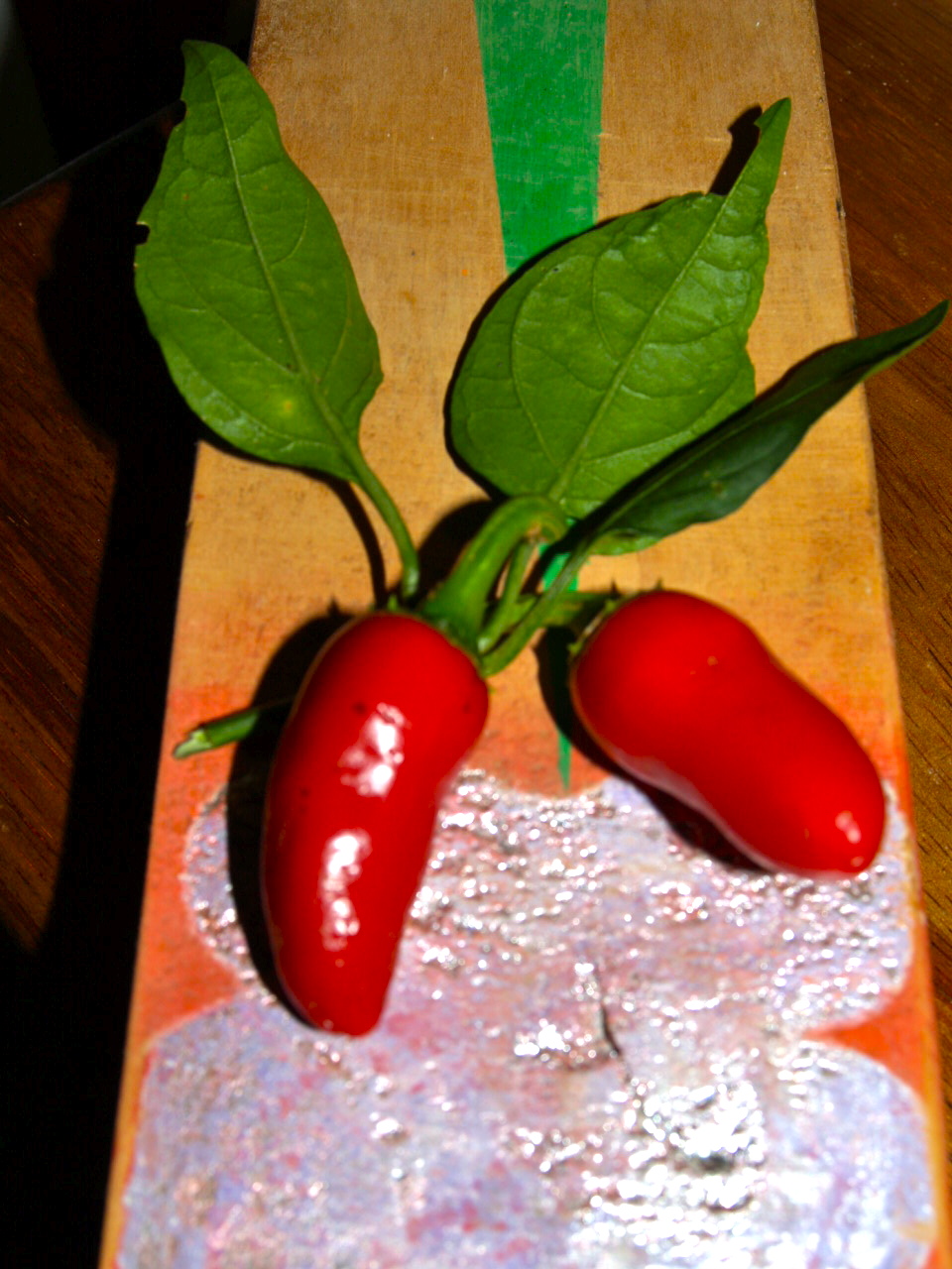 Florez Nursery another Chilli Pepper post