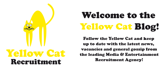 Yellow Cat Recruitment