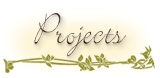 Projects Banner