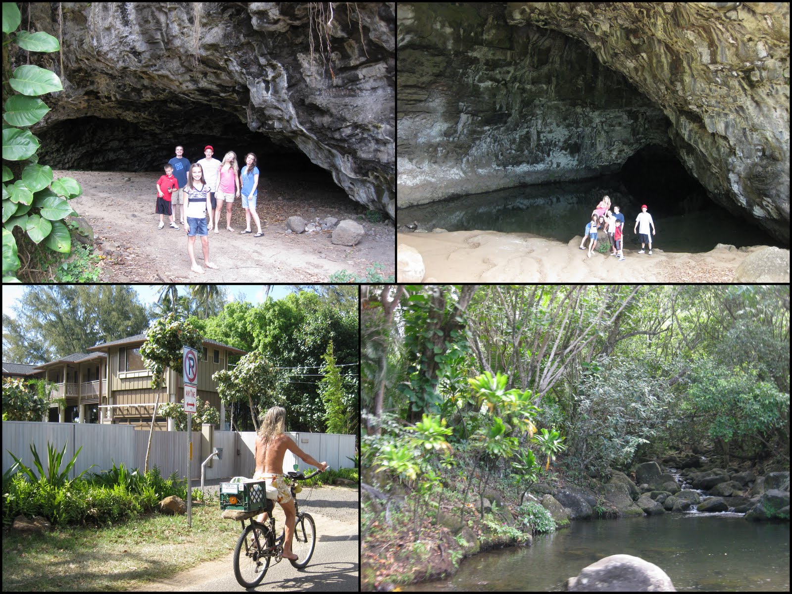 Brownie Mom North Shore