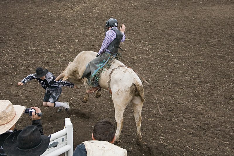 Photography of Ralph Fuchs of St. Albert, Alberta St. Albert Rodeo