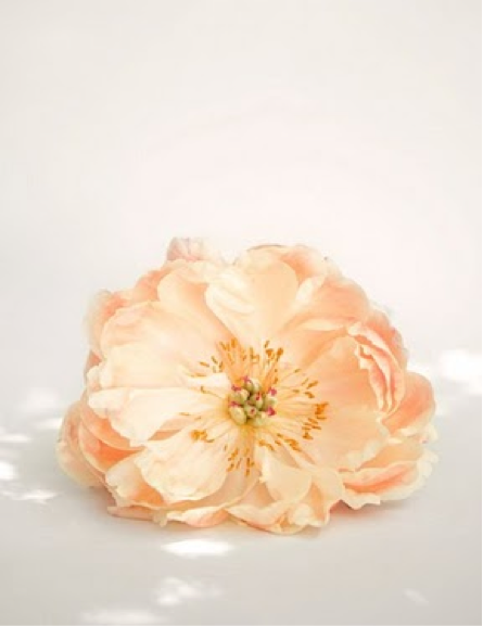 [Screen+shot+2010-02-15+at+6.37.43+PM.png]